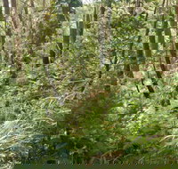 Gap Beach Walking Track - Accommodation Port Macquarie