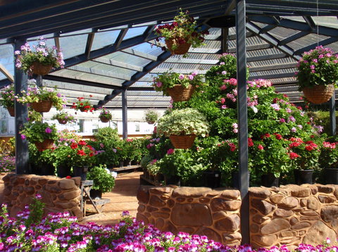 Geelong Botanic Gardens - Accommodation Port Macquarie 1