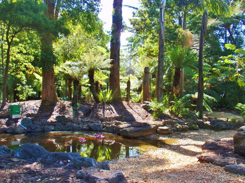 Geelong Botanic Gardens - Accommodation Port Macquarie 2