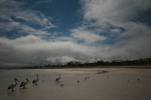 Hardwicke Bay - Accommodation Port Macquarie 0