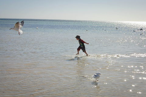 Hardwicke Bay - Accommodation Port Macquarie 1