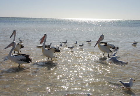 Hardwicke Bay - Accommodation Port Macquarie 2
