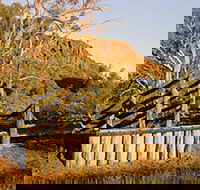 Illamurta Springs Conservation Reserve - Accommodation Port Macquarie