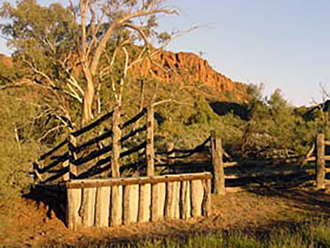 Illamurta Springs Conservation Reserve - Accommodation Port Macquarie 0