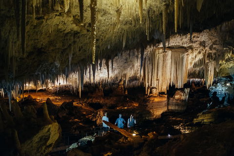 Jewel Cave - Accommodation Port Macquarie 2