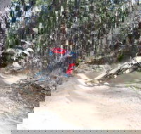 Jolly Nose Mountain Bike Park - Accommodation Port Macquarie
