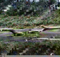 Kayaking Upper Tuross River and Bumbo Lake - Accommodation Port Macquarie