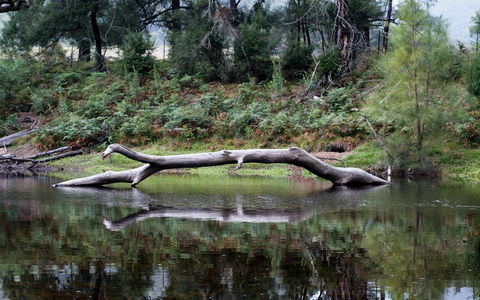 Kayaking Upper Tuross River And Bumbo Lake - Accommodation Port Macquarie 0