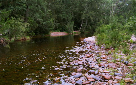 Kayaking Upper Tuross River And Bumbo Lake - Accommodation Port Macquarie 1