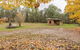 Major Clews Hut Walking Track - thumb 0
