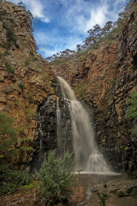 Morialta Conservation Park - Accommodation Port Macquarie 0