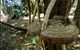 Mount Keira Ring Track - thumb 0