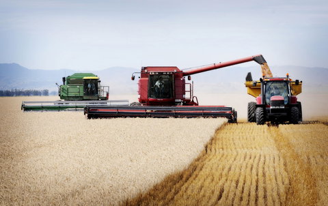 Mullaley - Accommodation Port Macquarie 0