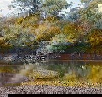 Mungabareena and Water Works - Accommodation Port Macquarie