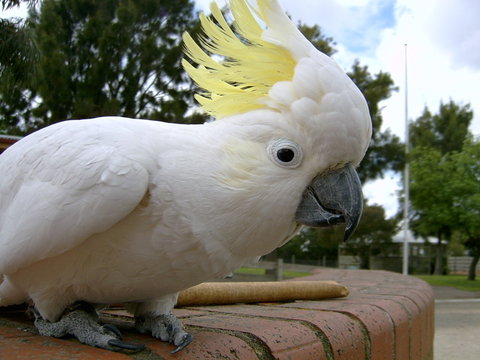 Myuna Farm - Accommodation Port Macquarie 1