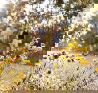 Nail Can Hill - Accommodation Port Macquarie