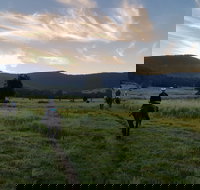 Numinbah Valley Adventure  Camping - Accommodation Port Macquarie