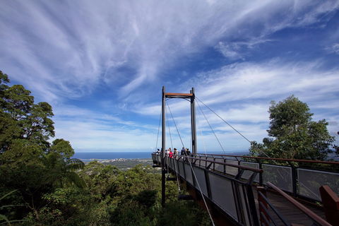 Orara East State Forest - Accommodation Port Macquarie 0