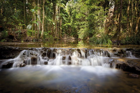 Orara East State Forest - Accommodation Port Macquarie 2