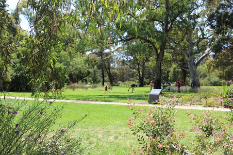 Parkville Heritage Walks - Accommodation Port Macquarie 2