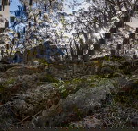 Pheasants Peak Walking Track - Accommodation Port Macquarie