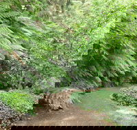 Pirianda Gardens - Accommodation Port Macquarie