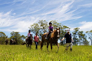 Port Macquarie Horse Riding Centre