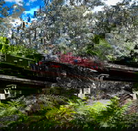 Puffing Billy Railway - Accommodation Port Macquarie