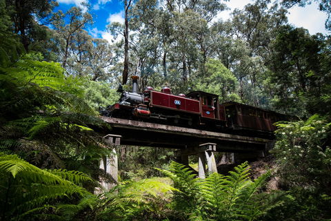 Puffing Billy Railway - Accommodation Port Macquarie 0