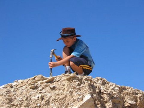 Richmond Fossil Hunting Sites - Accommodation Port Macquarie 0