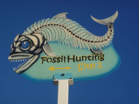 Richmond Fossil Hunting Sites - Accommodation Port Macquarie 1