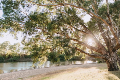 Riverside:  Wagga Beach - Accommodation Port Macquarie 1