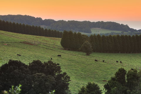 Robertson - Accommodation Port Macquarie 0