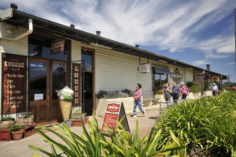 Robertson - Accommodation Port Macquarie 1