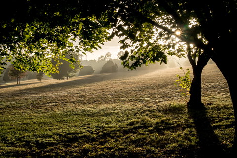 Ruffey Lake Park - Accommodation Port Macquarie 0