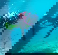 Shellharbour Scuba  and Photography Centre - Accommodation Port Macquarie