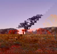 Sunrise Viewing Area Talinguru Nyakunytjaku - Accommodation Port Macquarie