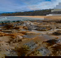 Sunburnt Beach - Accommodation Port Macquarie