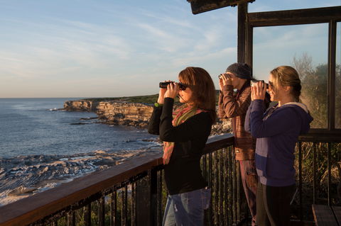Sutherland Shire - Accommodation Port Macquarie 0