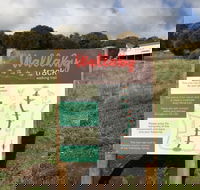 The Wallaby Track - Accommodation Port Macquarie