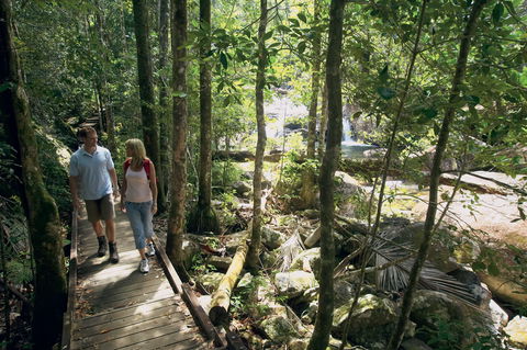The Pioneer Valley And Eungella National Park - Accommodation Port Macquarie 1