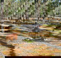 Two Dams picnic area - Accommodation Port Macquarie