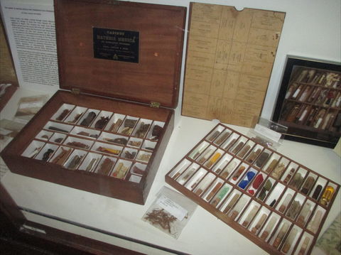 UQ Marks-Hirschfeld Museum Of Medical History - Accommodation Port Macquarie 0