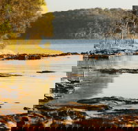 Wangi Wangi - Accommodation Port Macquarie