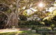 Wendy Whiteley's Secret Garden - thumb 0