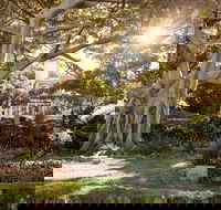 Wendy Whiteley's Secret Garden - Accommodation Port Macquarie