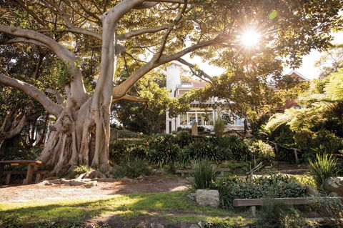 Wendy Whiteley's Secret Garden - Accommodation Port Macquarie 0