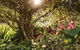Wendy Whiteley's Secret Garden - thumb 1