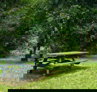 Williams River picnic area - Accommodation Port Macquarie