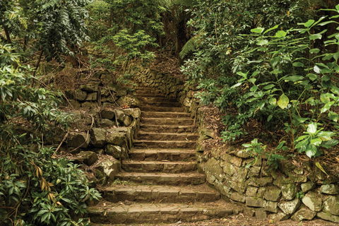 William Ricketts Sanctuary - Accommodation Port Macquarie 1